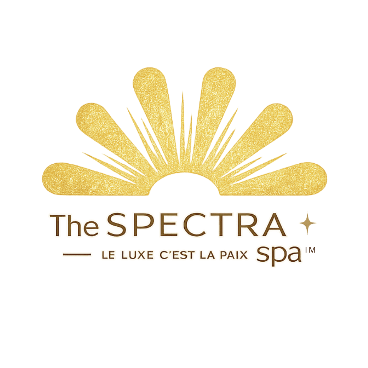 THE SPECTRA SPA LOGO PNG 3